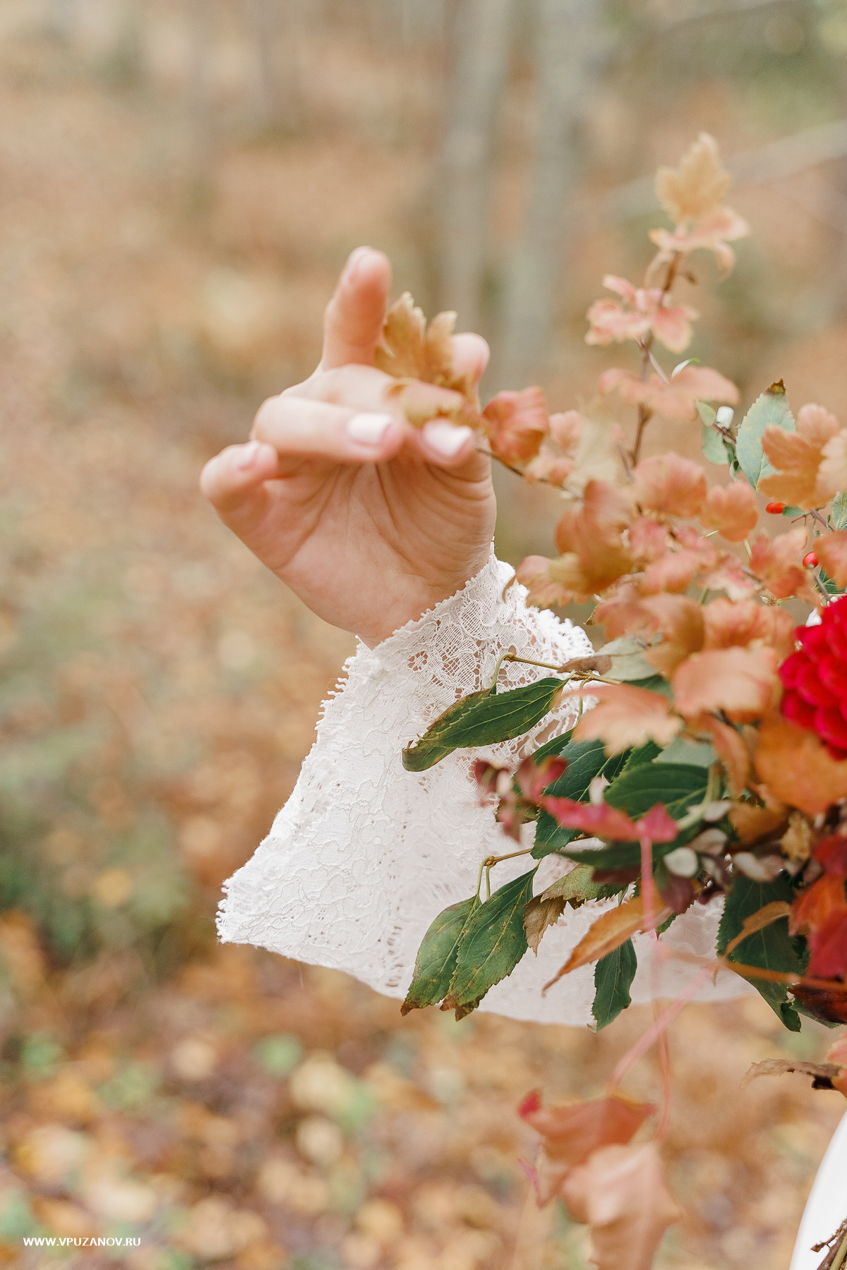 Свадебная фотосъемка, свадьба, свадебный фотограф, фотограф видеограф