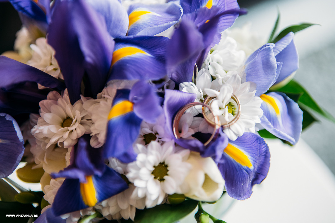 Свадебная фотосъемка, видео, свадебный фотограф, фотограф видеограф