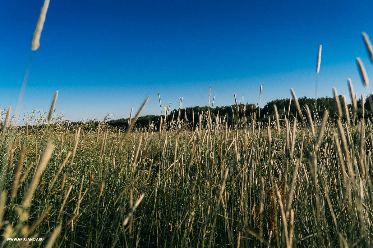 Свадебная фотосъемка, свадьба, свадебный фотограф, фотограф видеограф