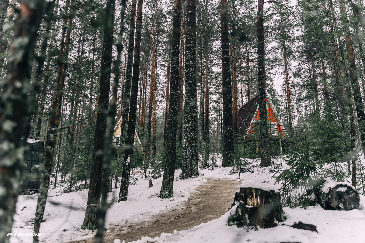 Свадебная фотосъемка, свадьба, свадебный фотограф, фотограф видеограф