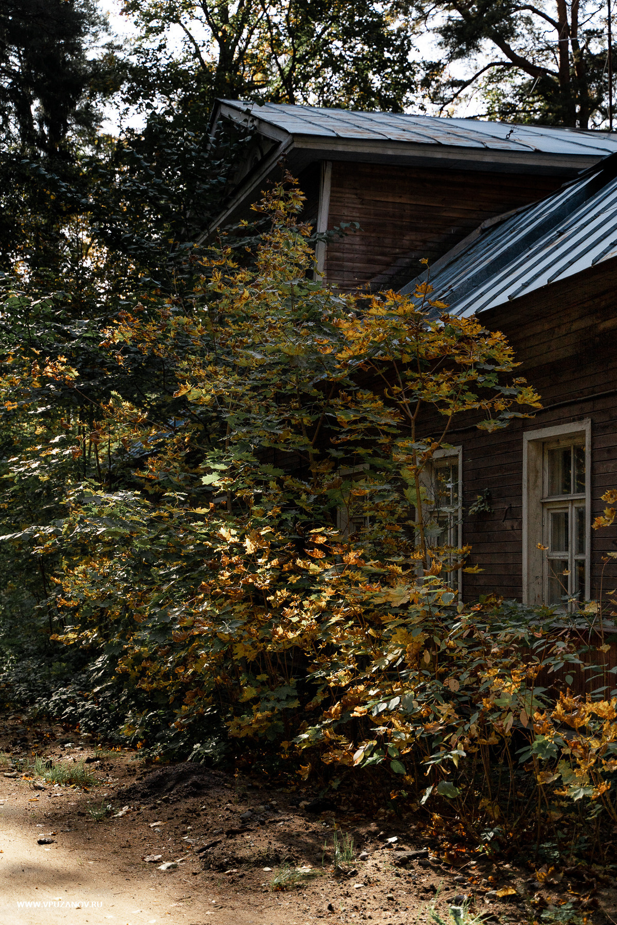 Свадебная фотосъемка, свадьба, свадебный фотограф, фотограф видеограф