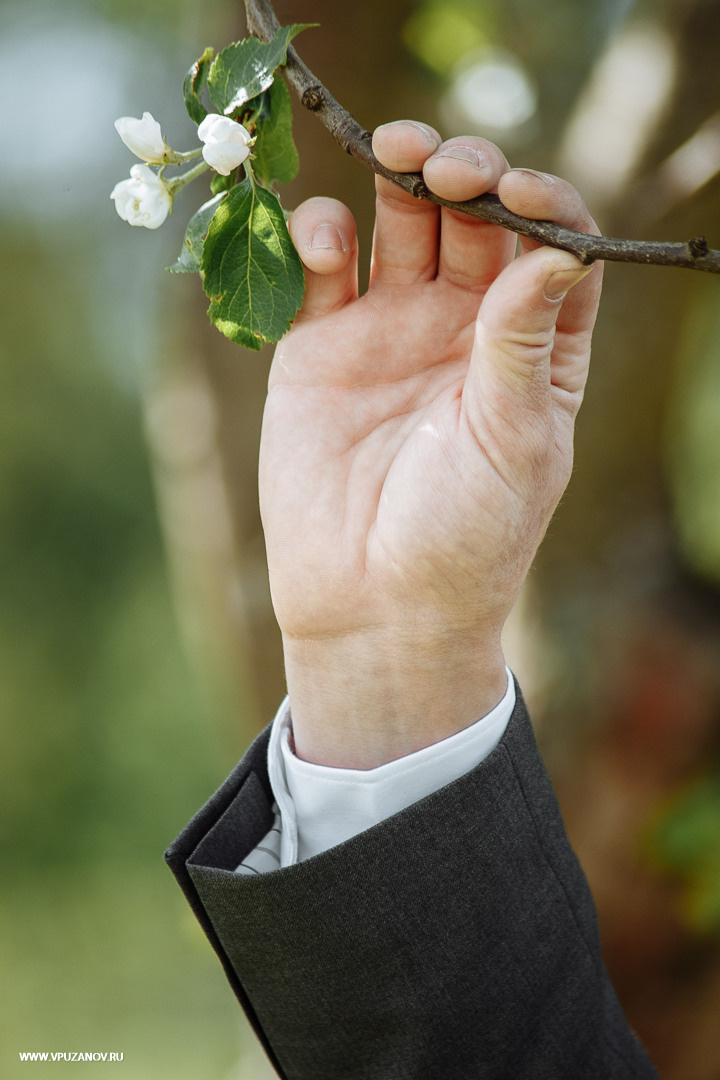 Свадебная фотосъемка, видео, свадебный фотограф, фотограф видеограф
