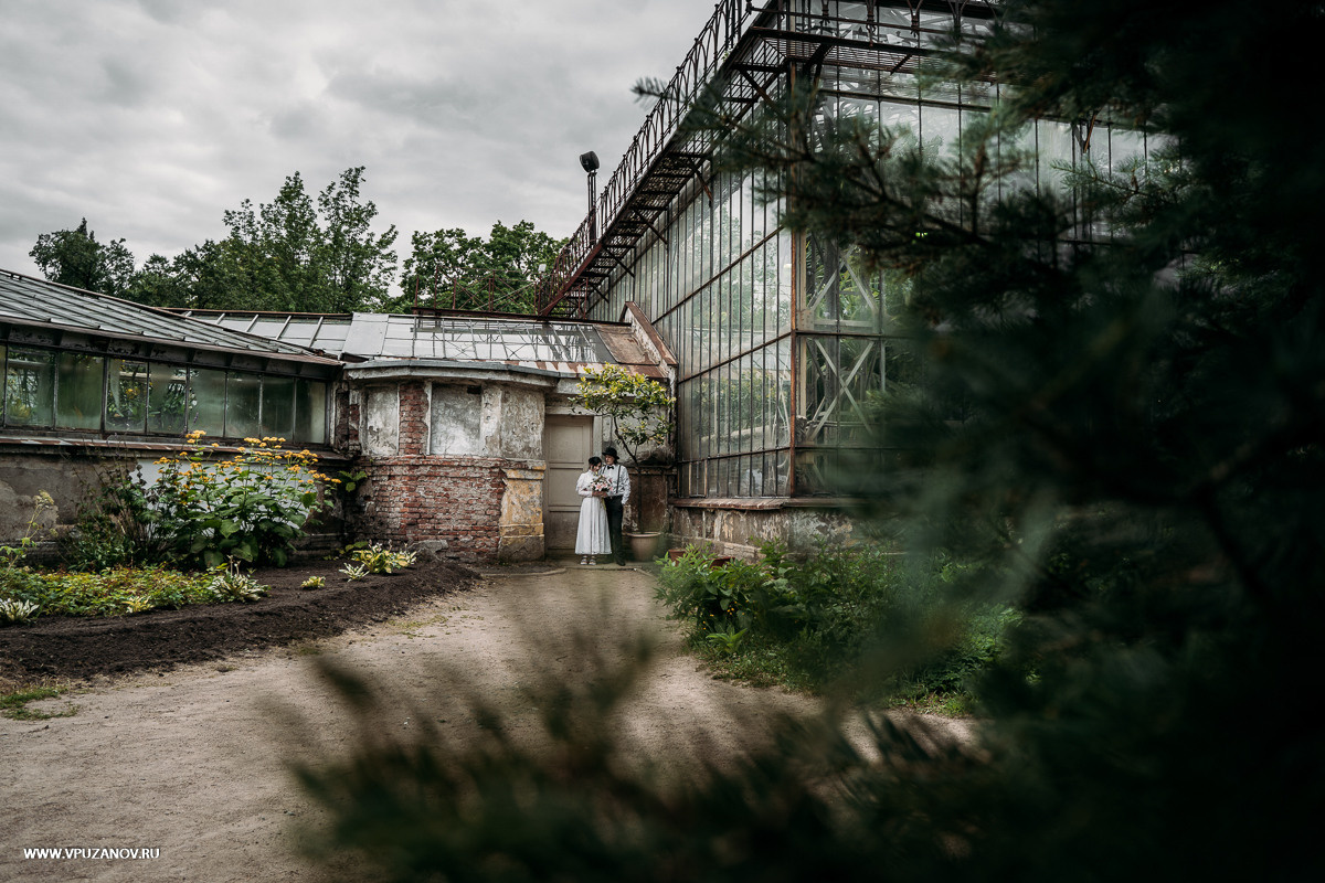 Свадебная фотосъемка, видео, свадебный фотограф, фотограф видеограф