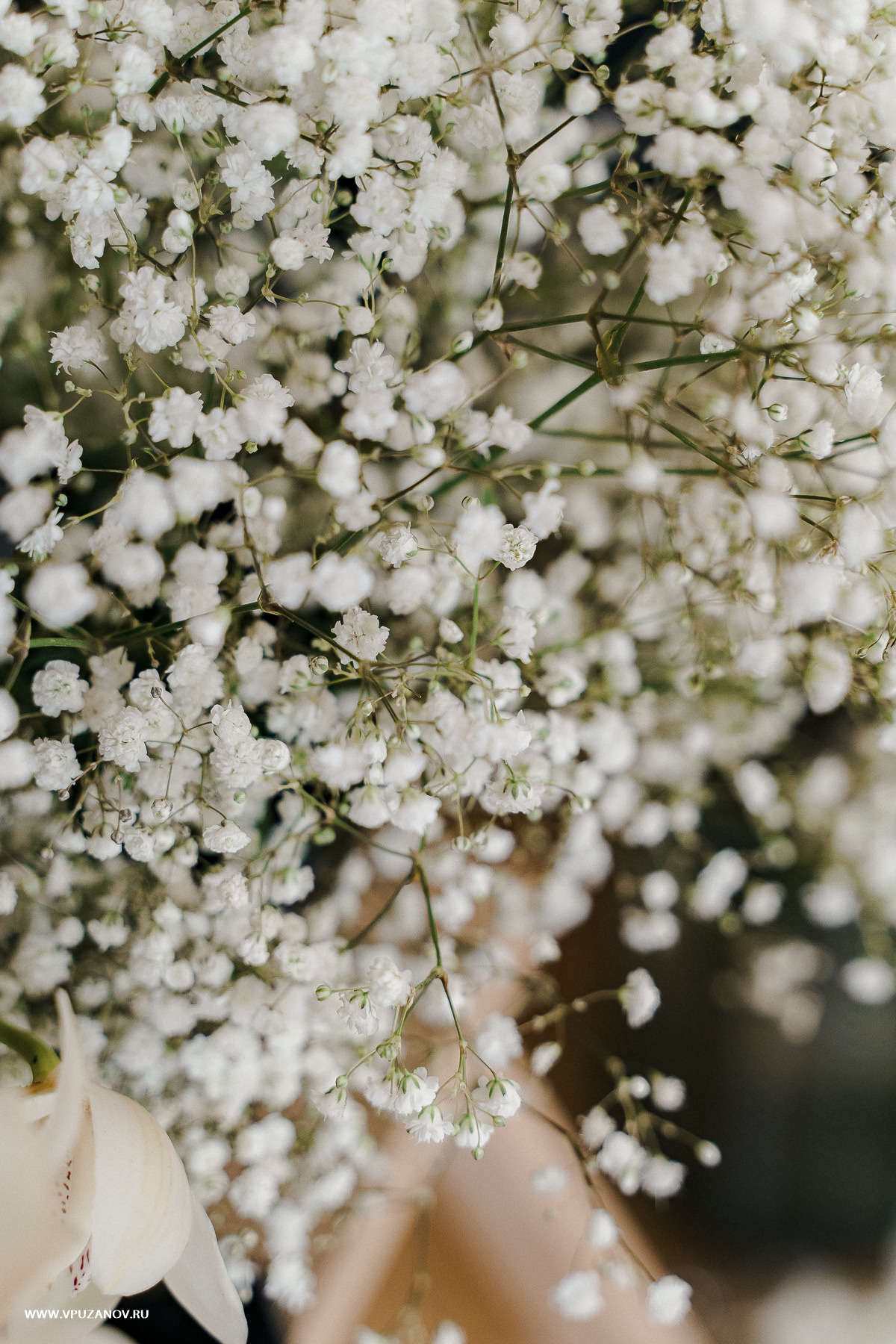 Свадебная фотосъемка, свадьба, свадебный фотограф, фотограф видеограф