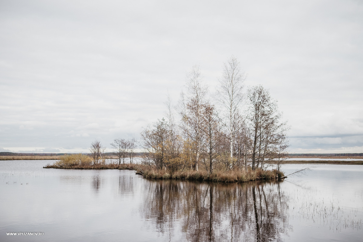 Свадебная фотосъемка, видео, свадебный фотограф, фотограф видеограф