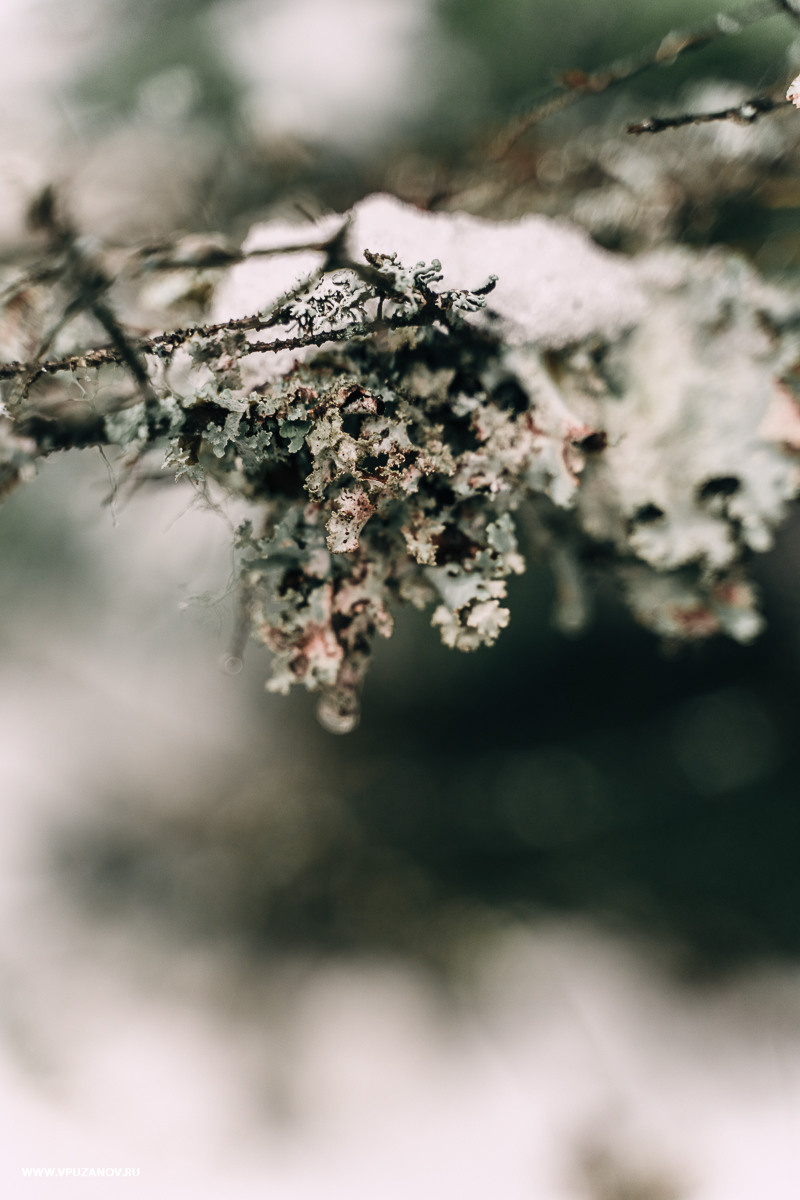 Свадебная фотосъемка, свадьба, свадебный фотограф, фотограф видеограф