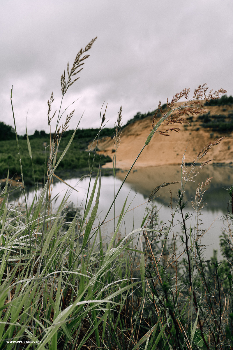 Свадебная фотосъемка, свадьба, свадебный фотограф, фотограф видеограф