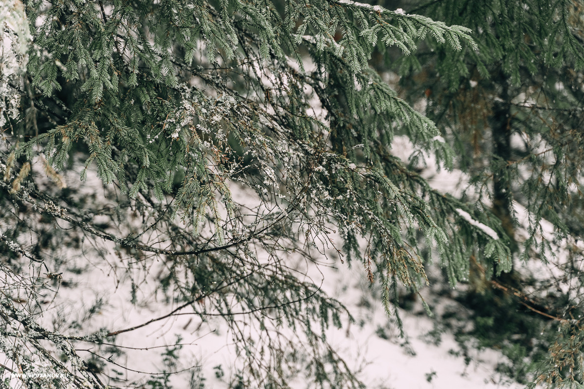 Свадебная фотосъемка, свадьба, свадебный фотограф, фотограф видеограф