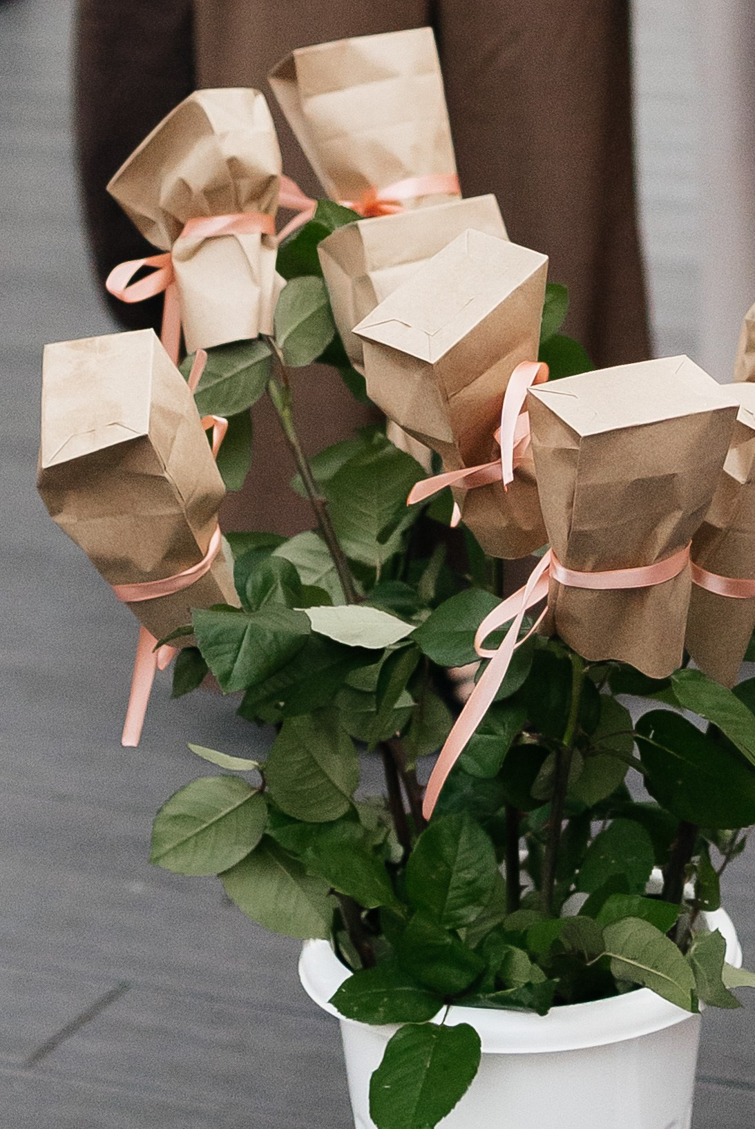 София и Даниил. Главная