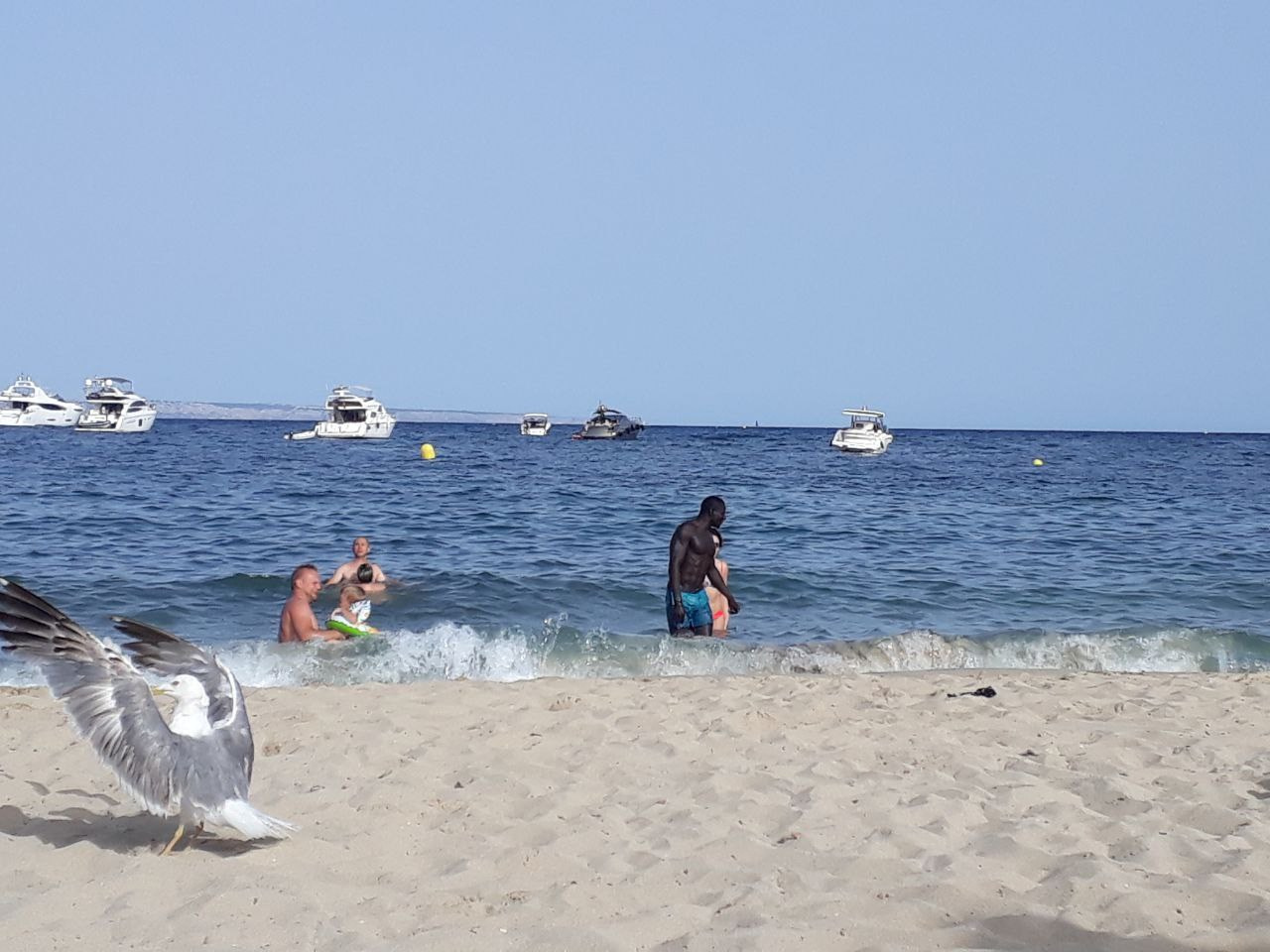 Автор: Алиса Хитрецова