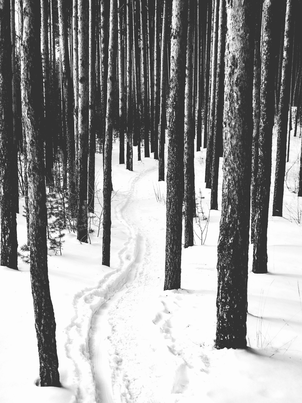 Сайт в процессе разработки