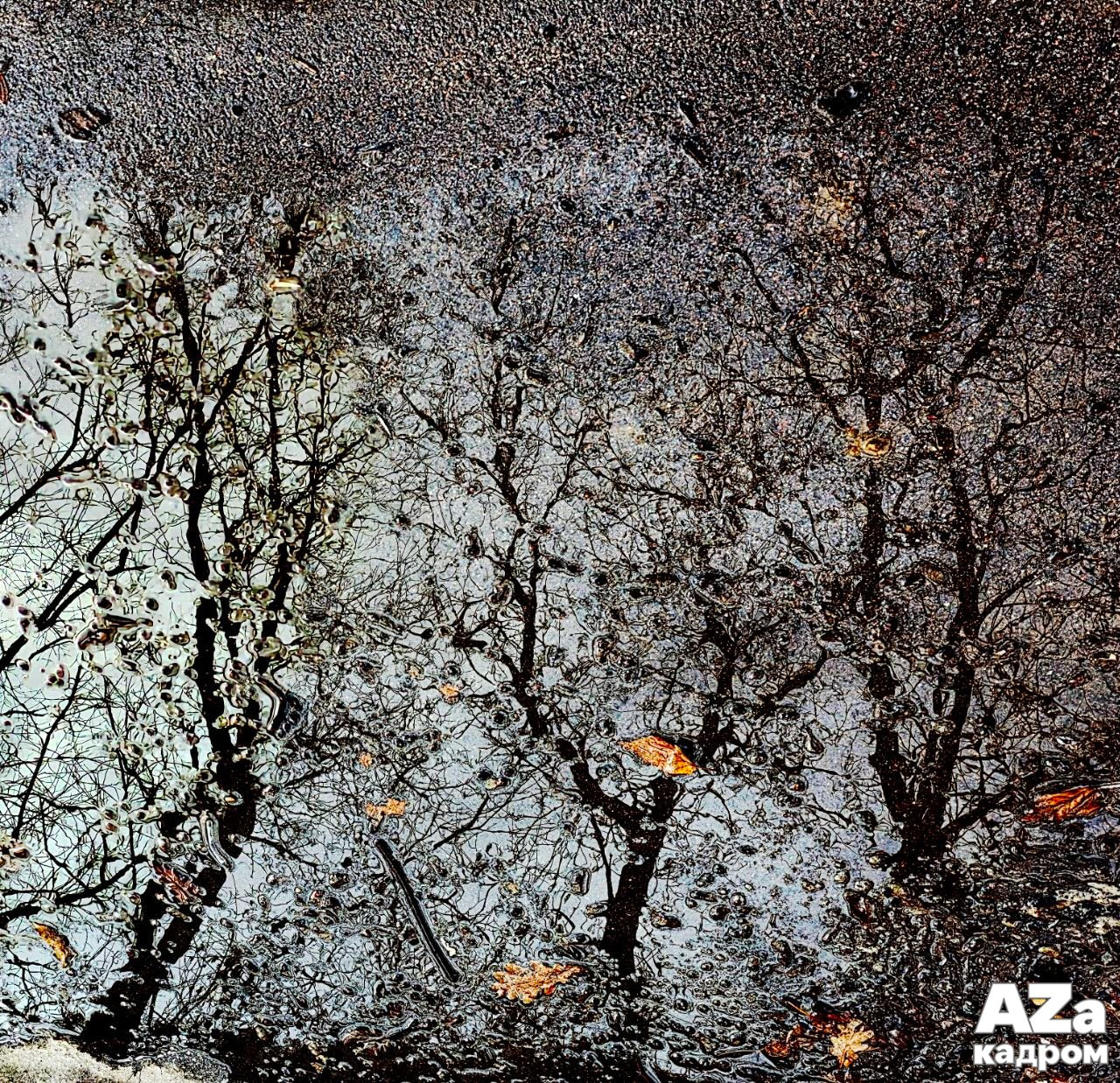 AZакадром «Отражения». Женский семейный фотограф Тула Москва Захарова Анна