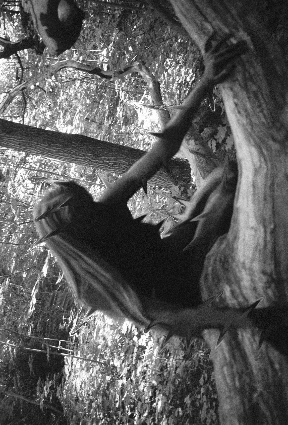 12.36.25.46.11. Tashaosm.com