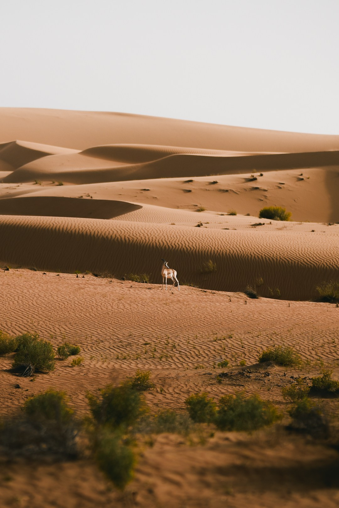 Landscape Photography and Fine Art Prints
