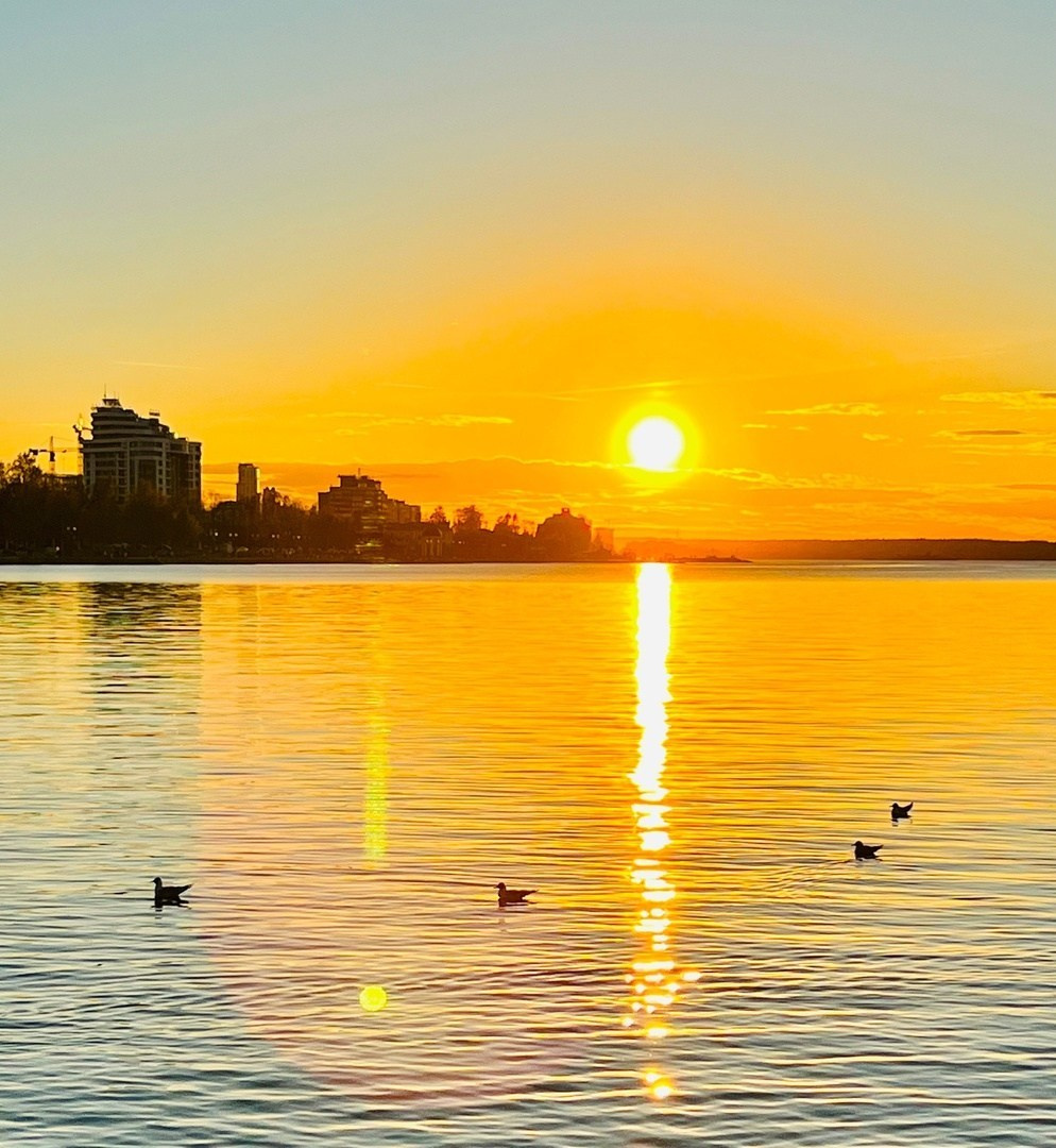 2024. Галерея ПрофАС