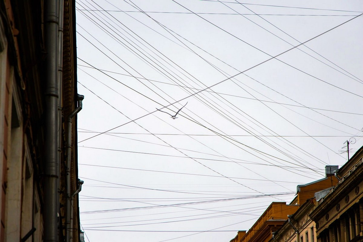 Симуляторы (Каталог № 4). Главная