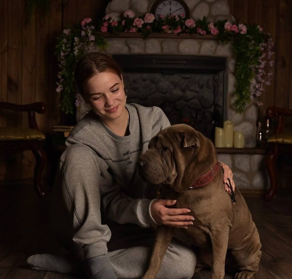 Познакомьтесь с Шар пей в Иркутске. Питомник собак Иркутск