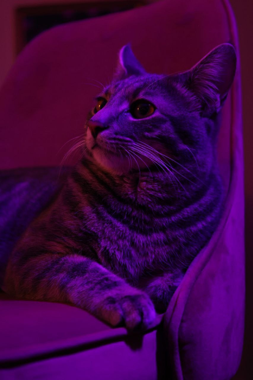 Мобильная фотография. Фотограф г. Владивосток