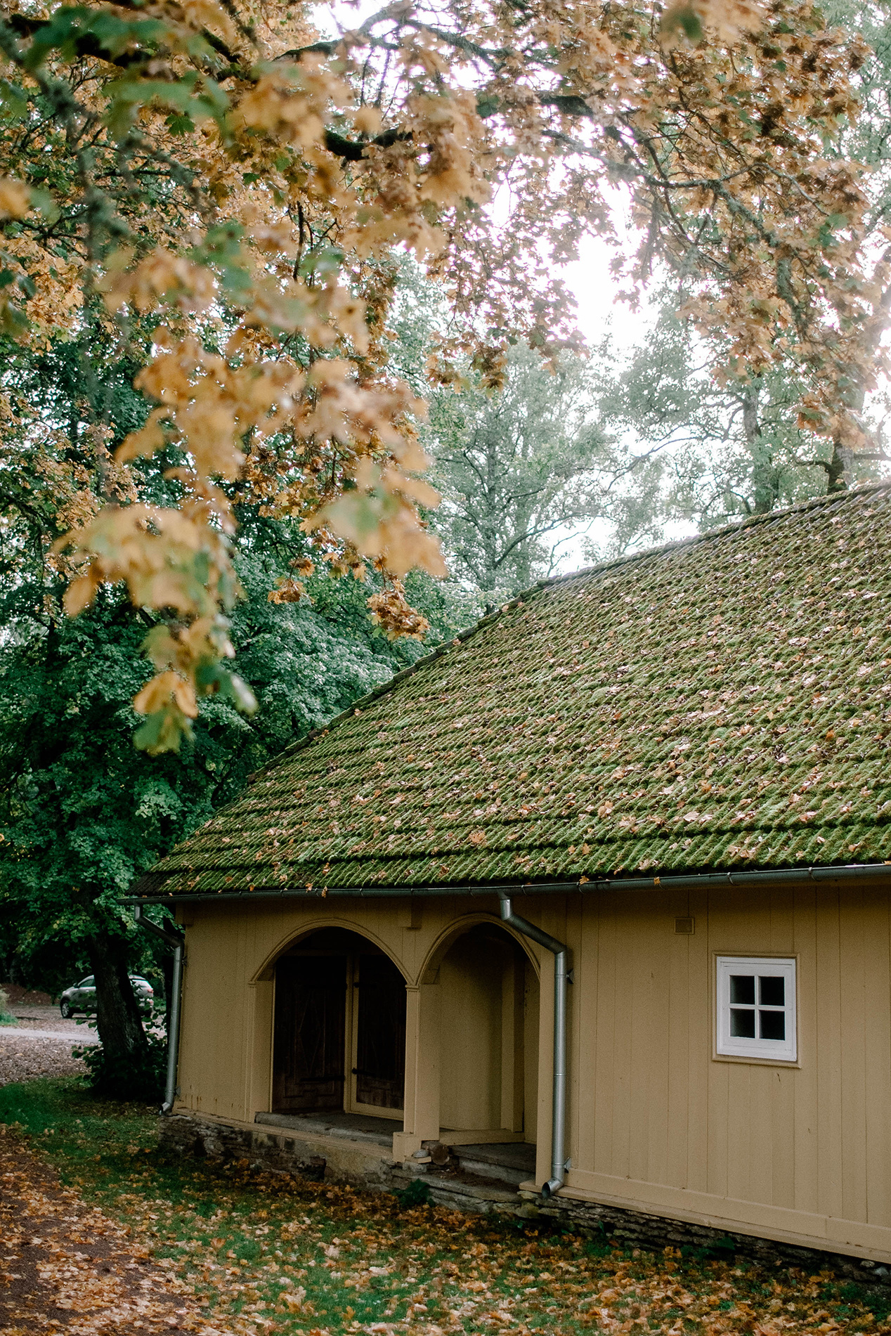 Ll. @dariazphoto свадебный фотограф