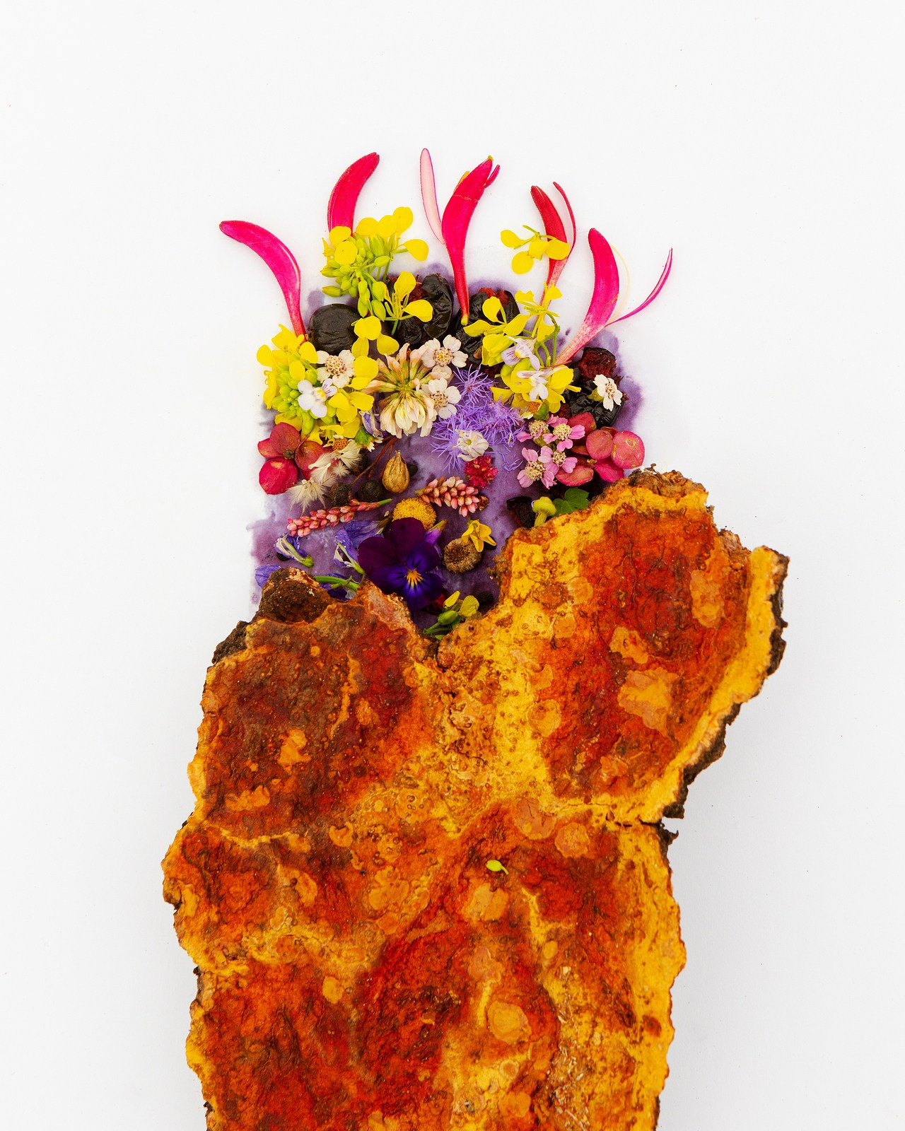 Условная ботаника. Фотографии Саши Любина