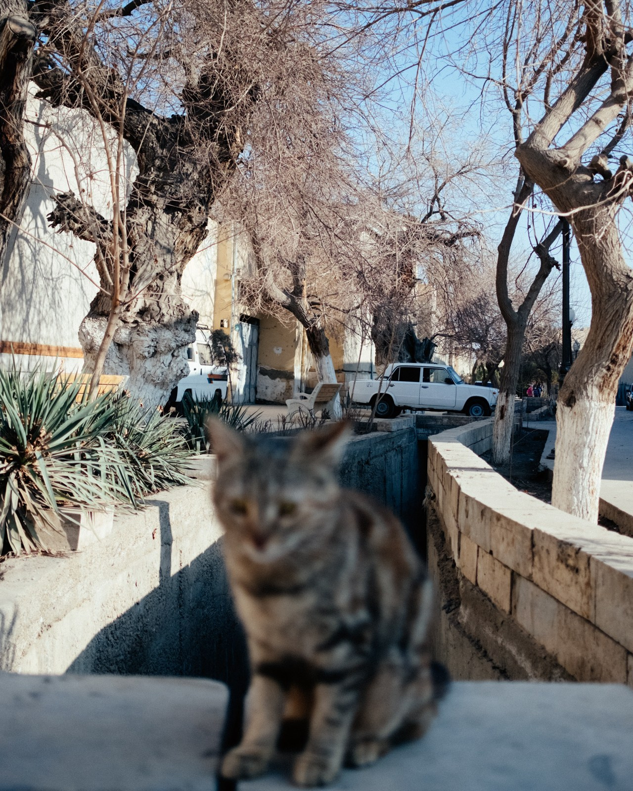 Узбекистан. Фотограф Дмитрий Олрайт | Калуга, Россия