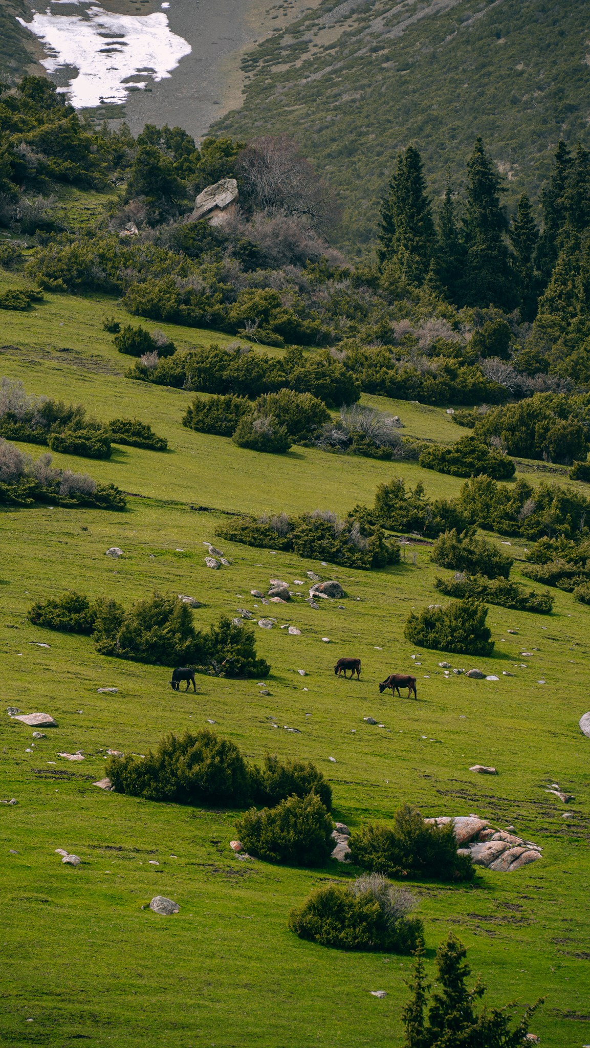 Кыргызстан. Человек с фотокамерой