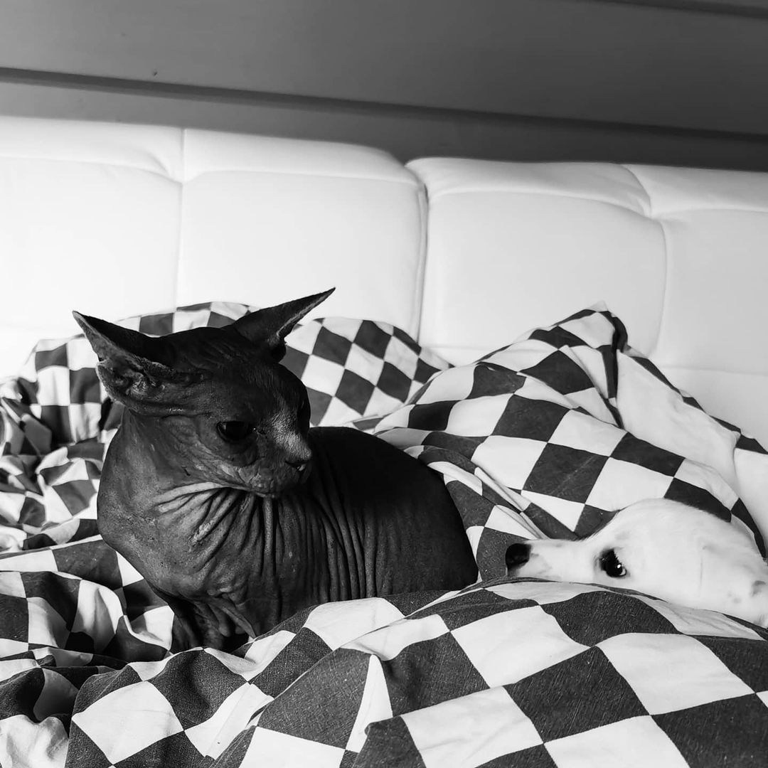 Anka`s Instagram. Заставка