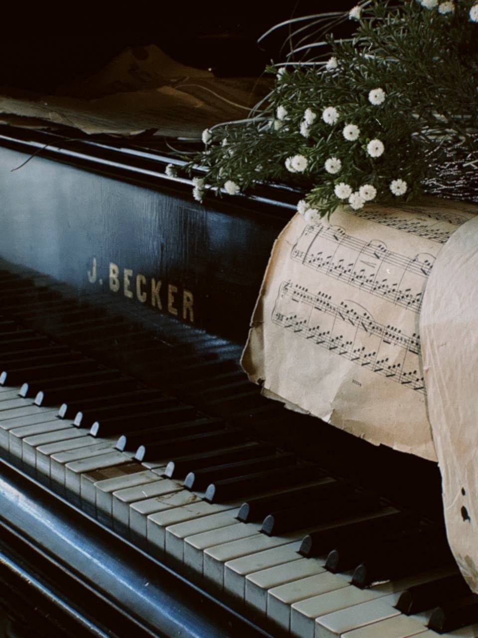 Алёна. Hmliber — фотограф и контент-креатор из Петербурга