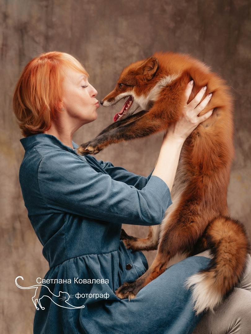 фотосессия с лисой
