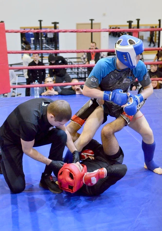 Первенство Чувашии и Кубок Чувашской Республики по MMA. Спортивный фотограф в Чебоксарах Надежда Доброхотова