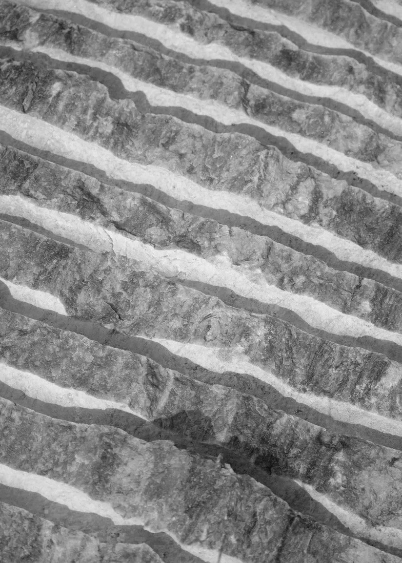 Frame 34 / 34 кадр. Художник Катерина Копейкина / Artist Katerina Kopeikina