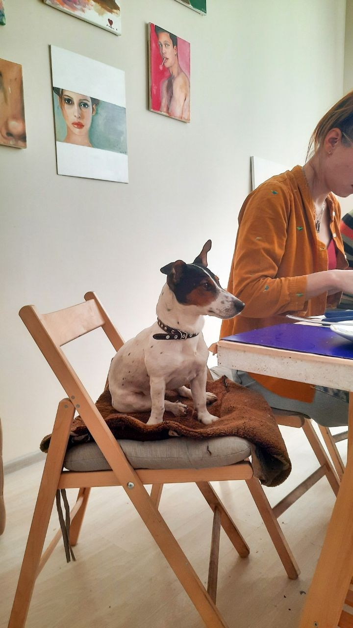 Мозаика + Вино. Belay.Art