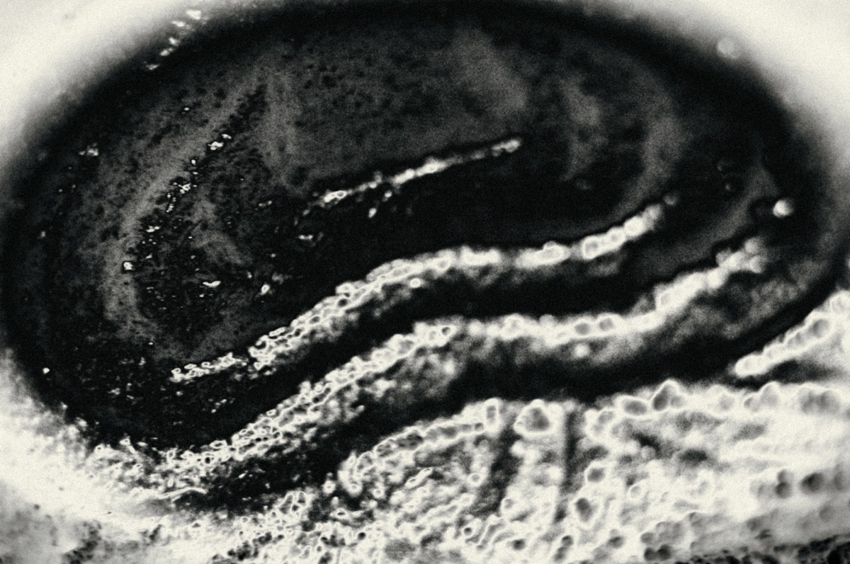 Bw. ПЕТР ПОПОВ | VISUAL ARTIST