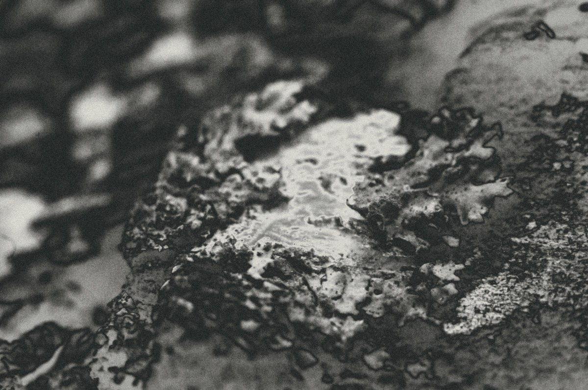 Bw. ПЕТР ПОПОВ | VISUAL ARTIST