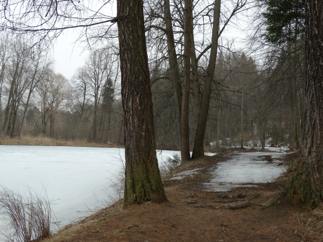 Середниково — Piligrim Porto — Братцево — Сходненская чаша | 09.04.2016. Галерея Фантим