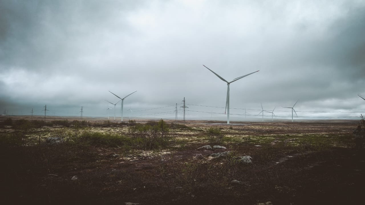 Мурманск | 20-22.06.2025. Галерея Фантим