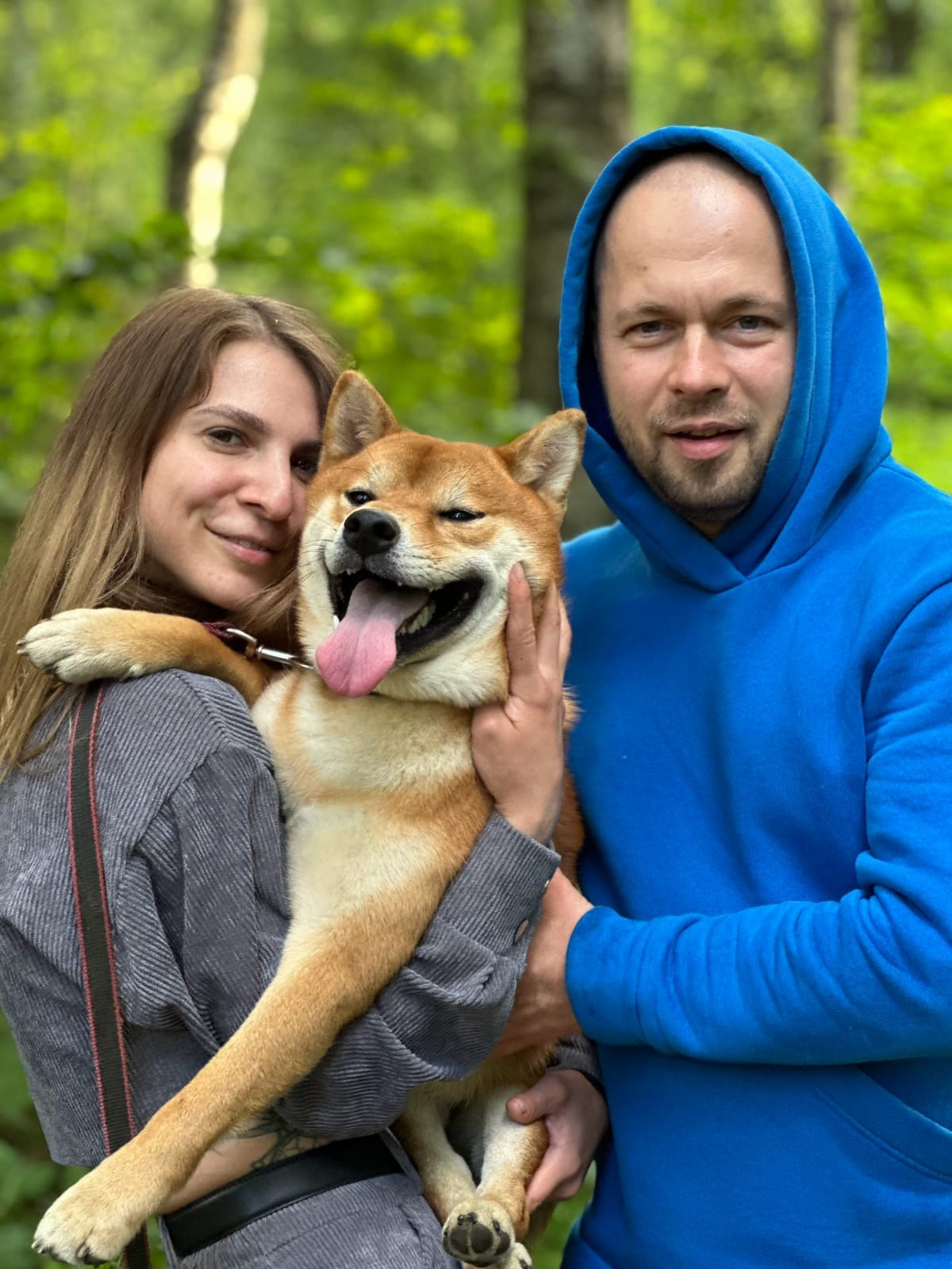 Сиба RUBYLIGHT Taddeus питомник Рубилайт 