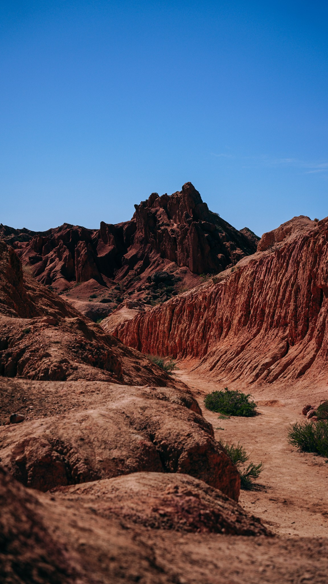 Кыргызстан. Человек с фотокамерой