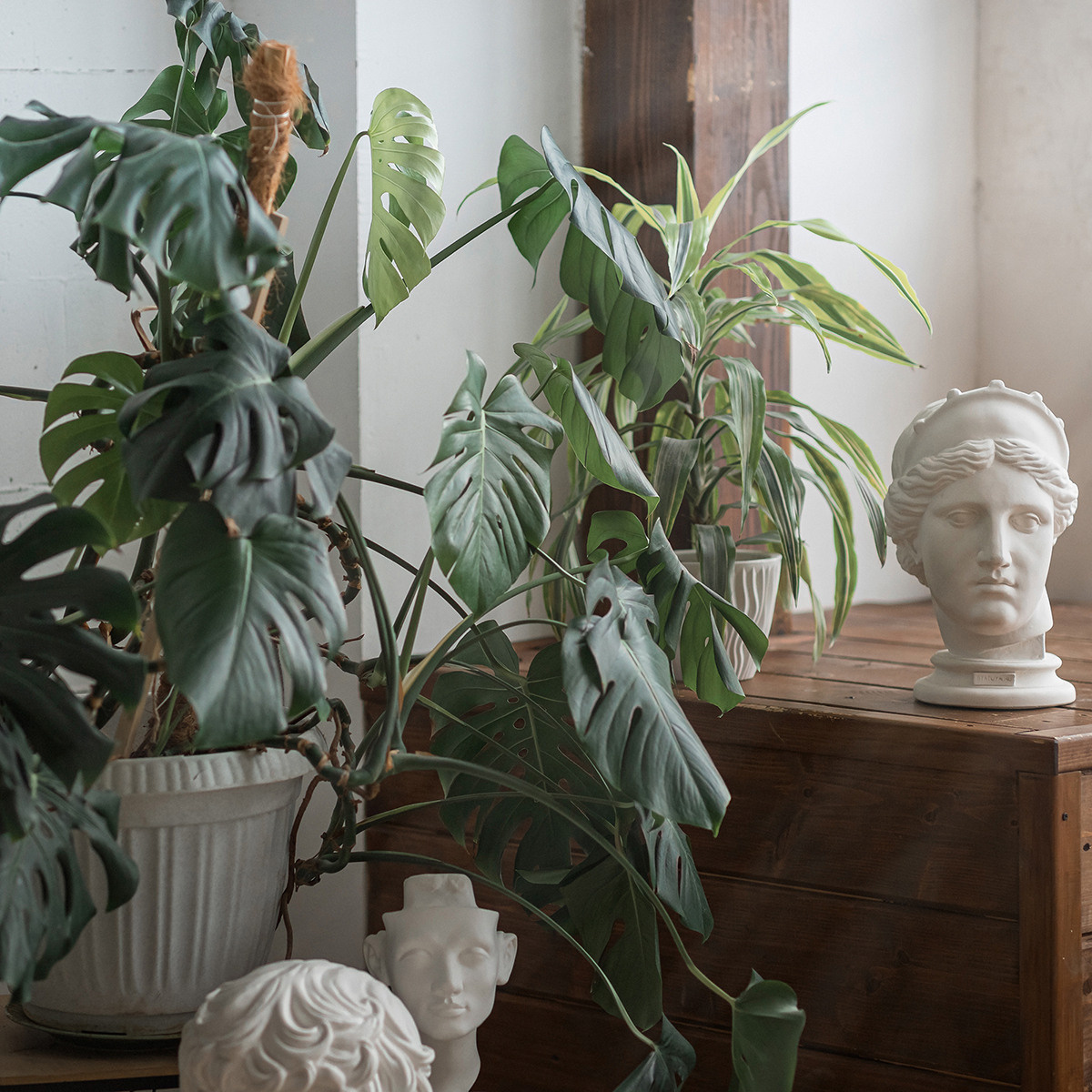 Предметная съемка. Фотограф в Москве и Санкт-Петербурге Елена Потапова