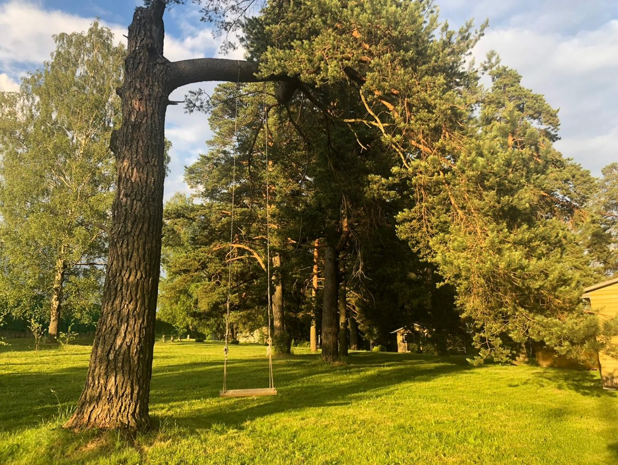 Площадка № 3-14. Свадебный организатор Москва