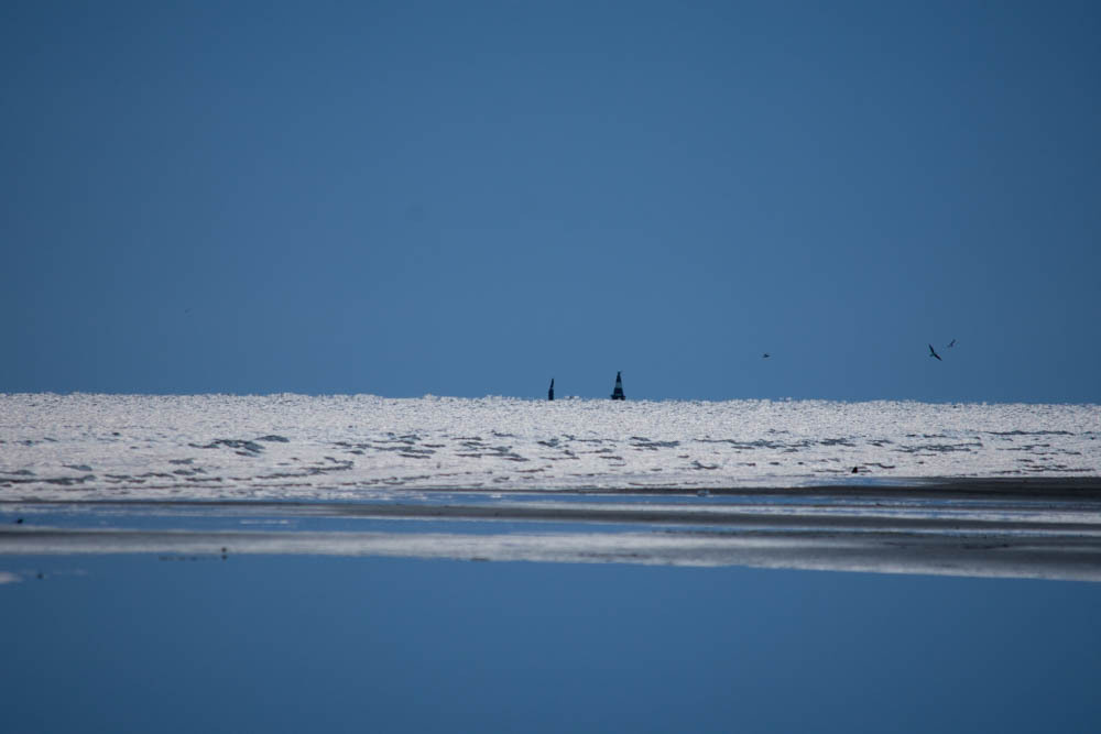 Семейная съемка на Рыбинском водохранилище. Ветрено. Семейный и детский фотограф в Москве