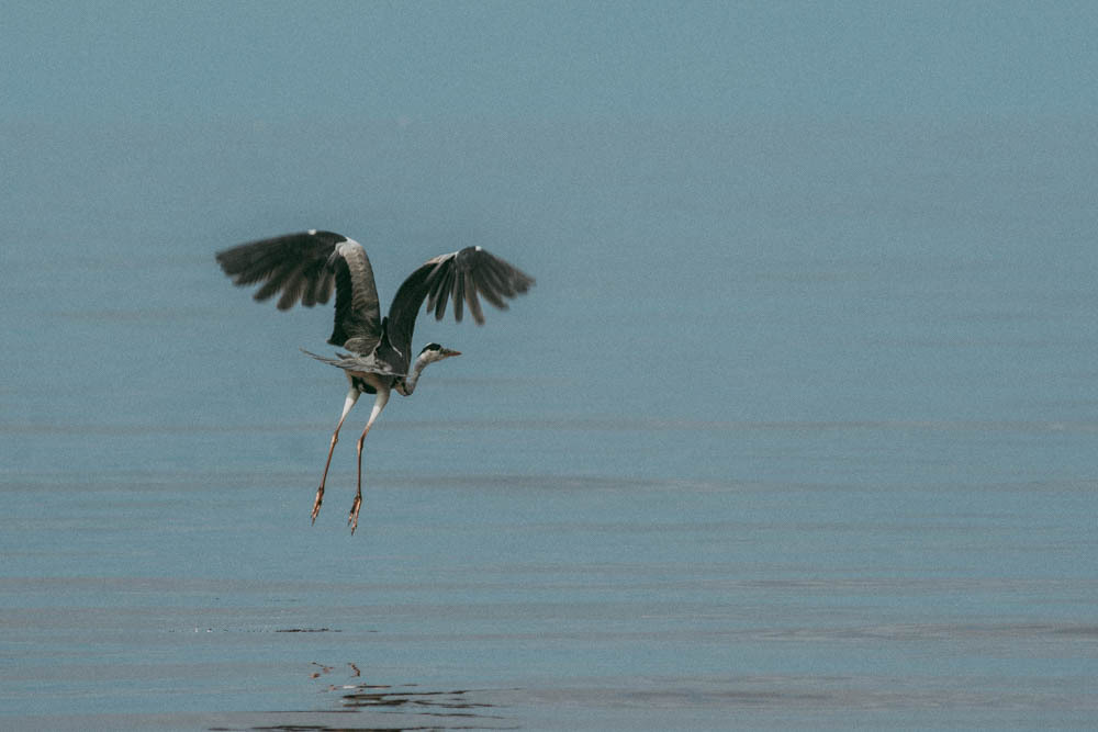 Семейная съемка на Рыбинском водохранилище. Ветрено. Семейный и детский фотограф в Москве