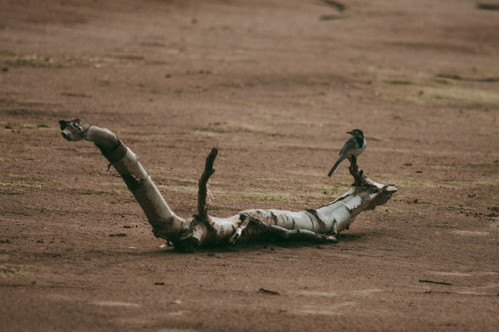 Семейная съемка на Рыбинском водохранилище. Ветрено. Семейный и детский фотограф в Москве