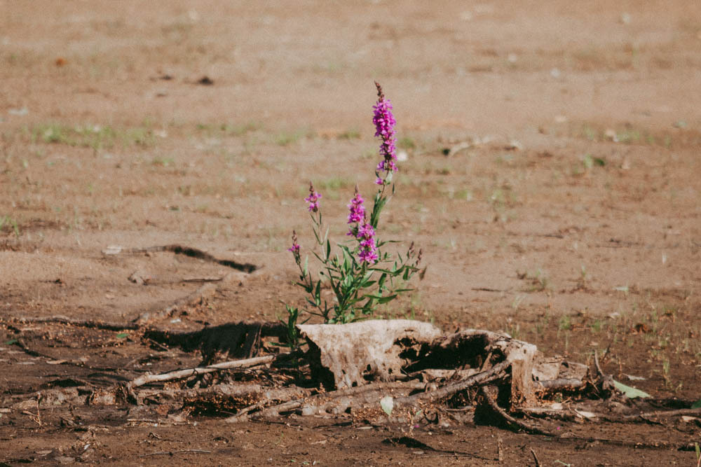 Семейная съемка на Рыбинском водохранилище. Ветрено. Семейный и детский фотограф в Москве