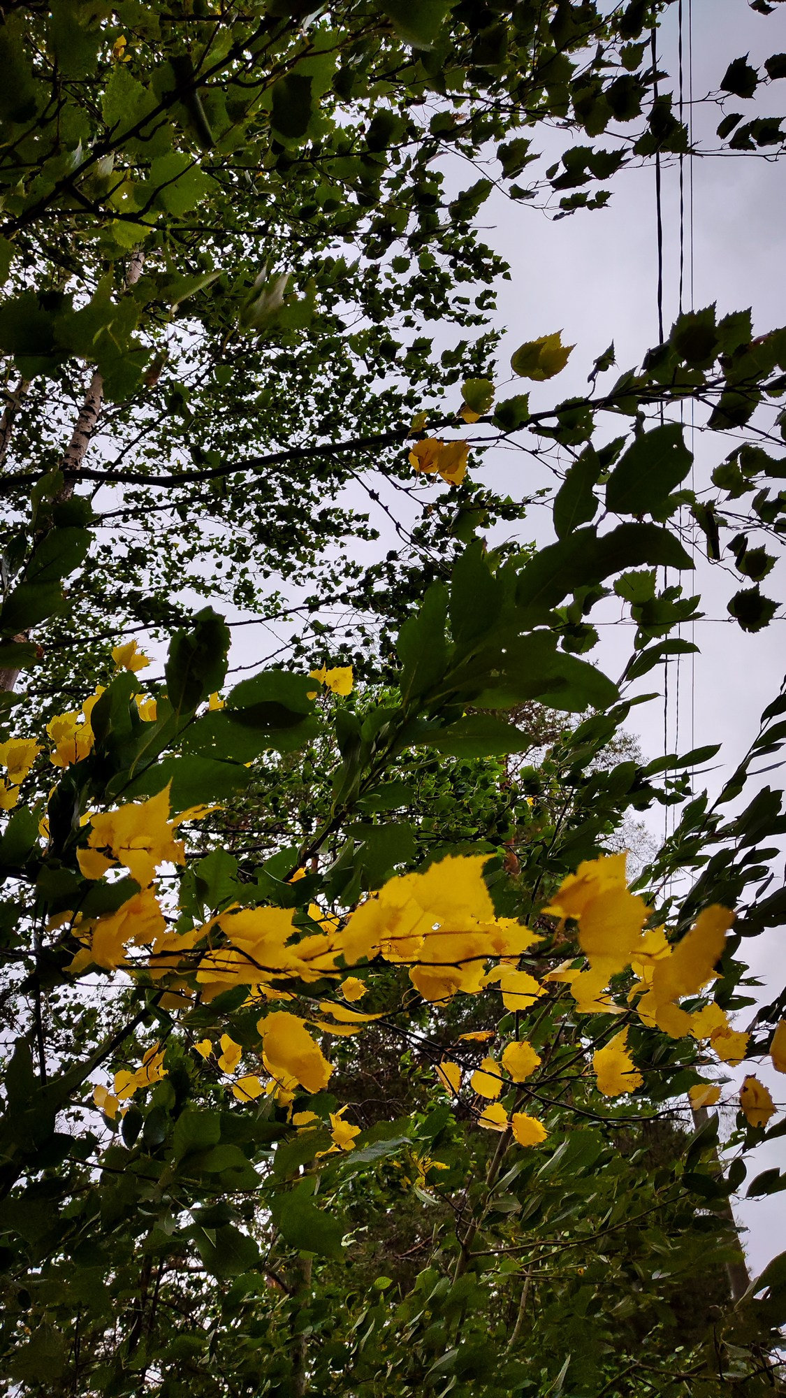 Репортаж с ретрита. Фотограф Ксения Соло