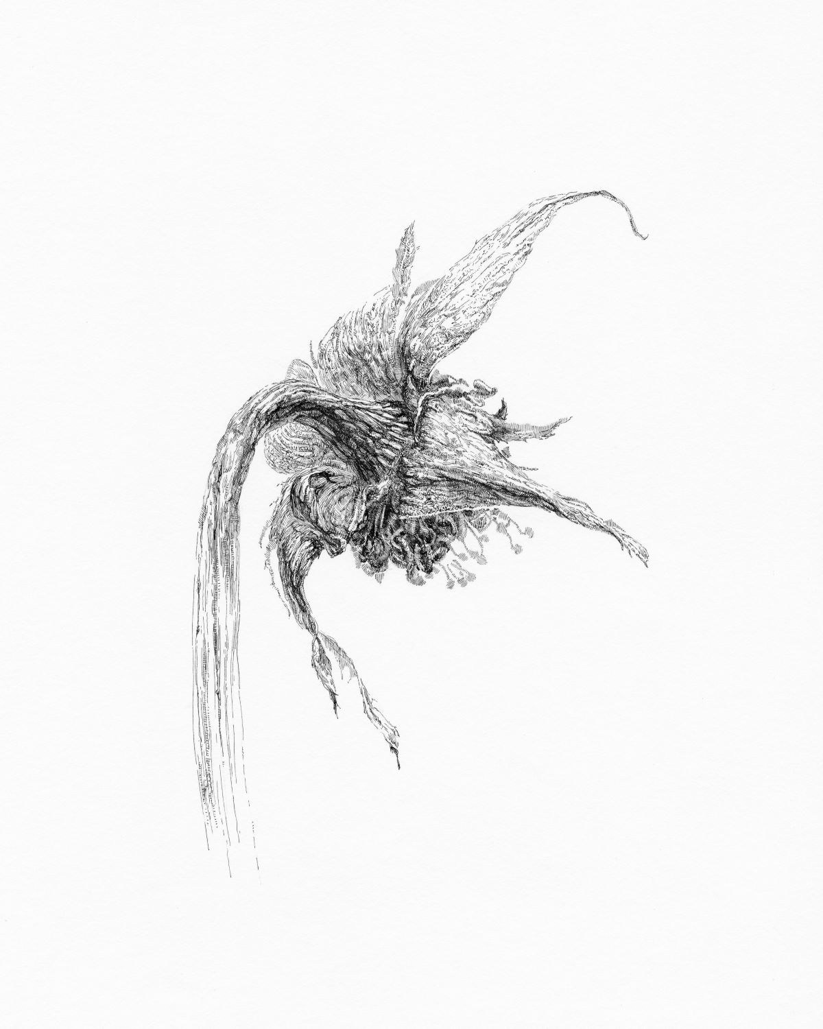 Nadezhda Polomoshnova, fine artist in Charleston