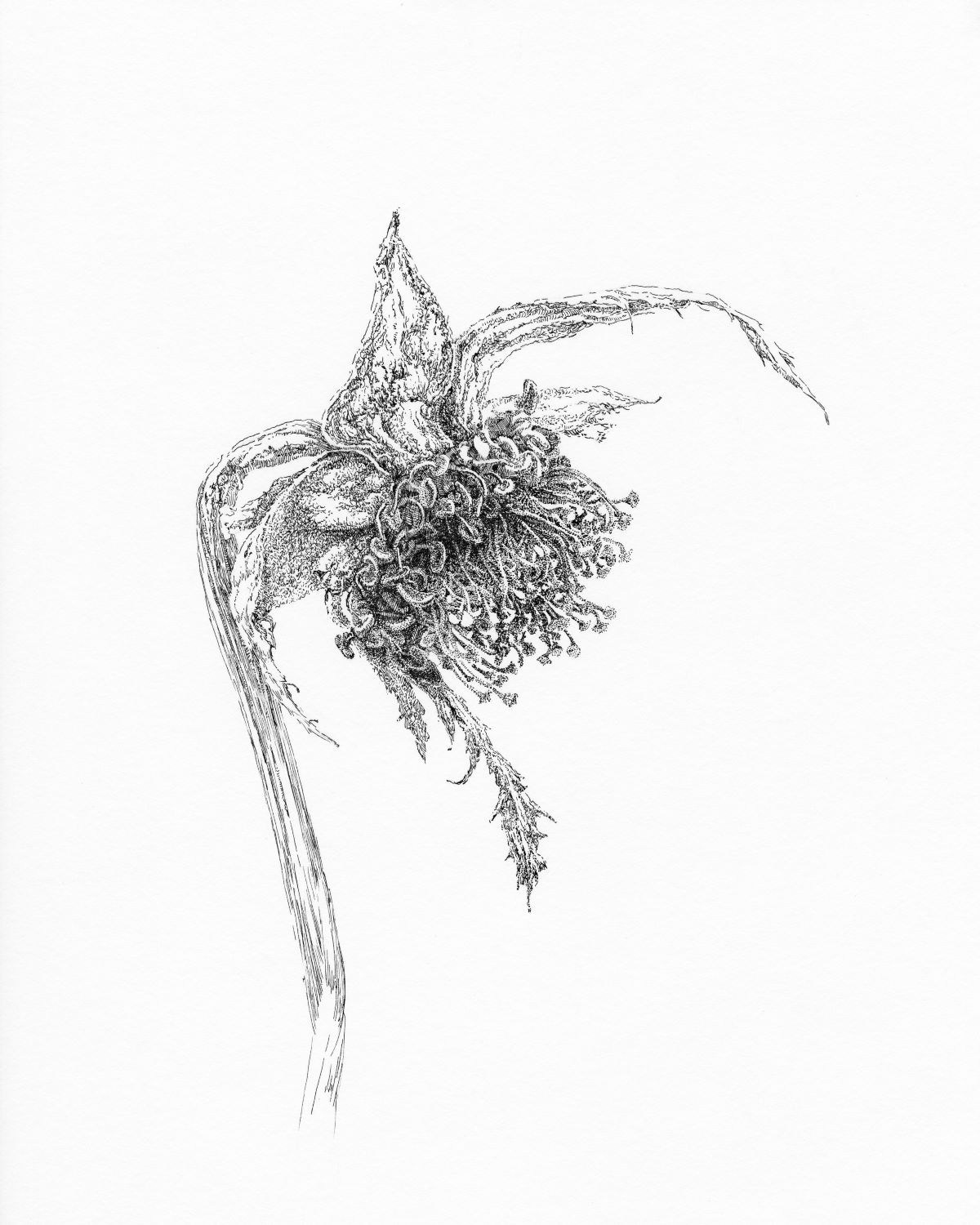 Nadezhda Polomoshnova, fine artist in Charleston