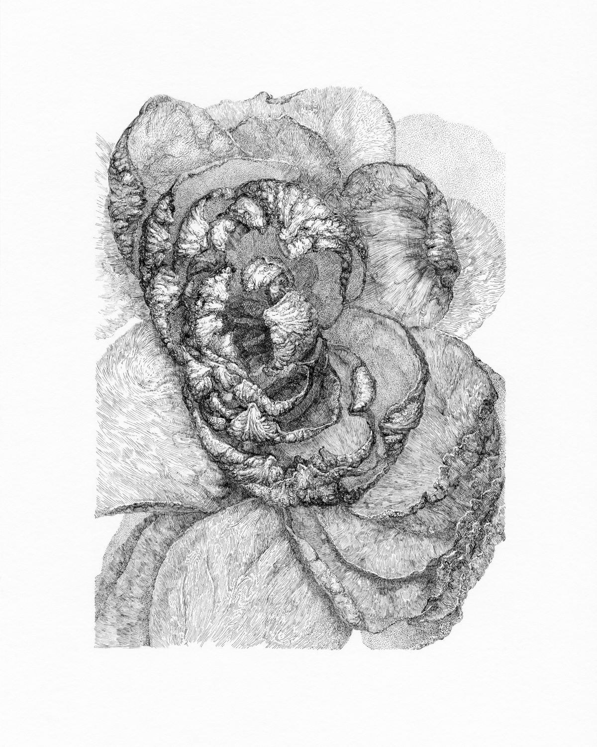 11 x 14 Front dfzgmib;fy