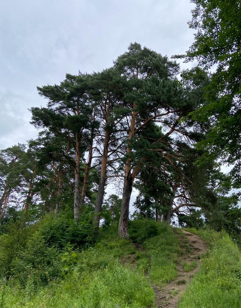 Звенигород | 29.06.2023. Галерея Фантим