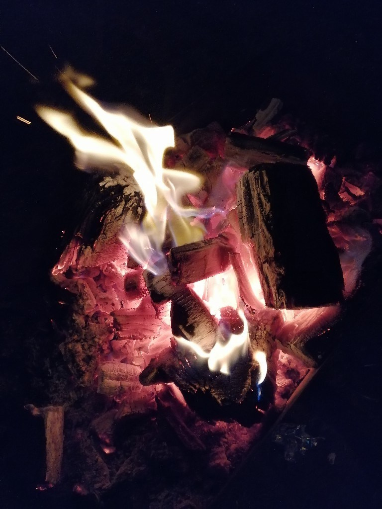 Шашлычки 10.05.2019. Галерея Фантим